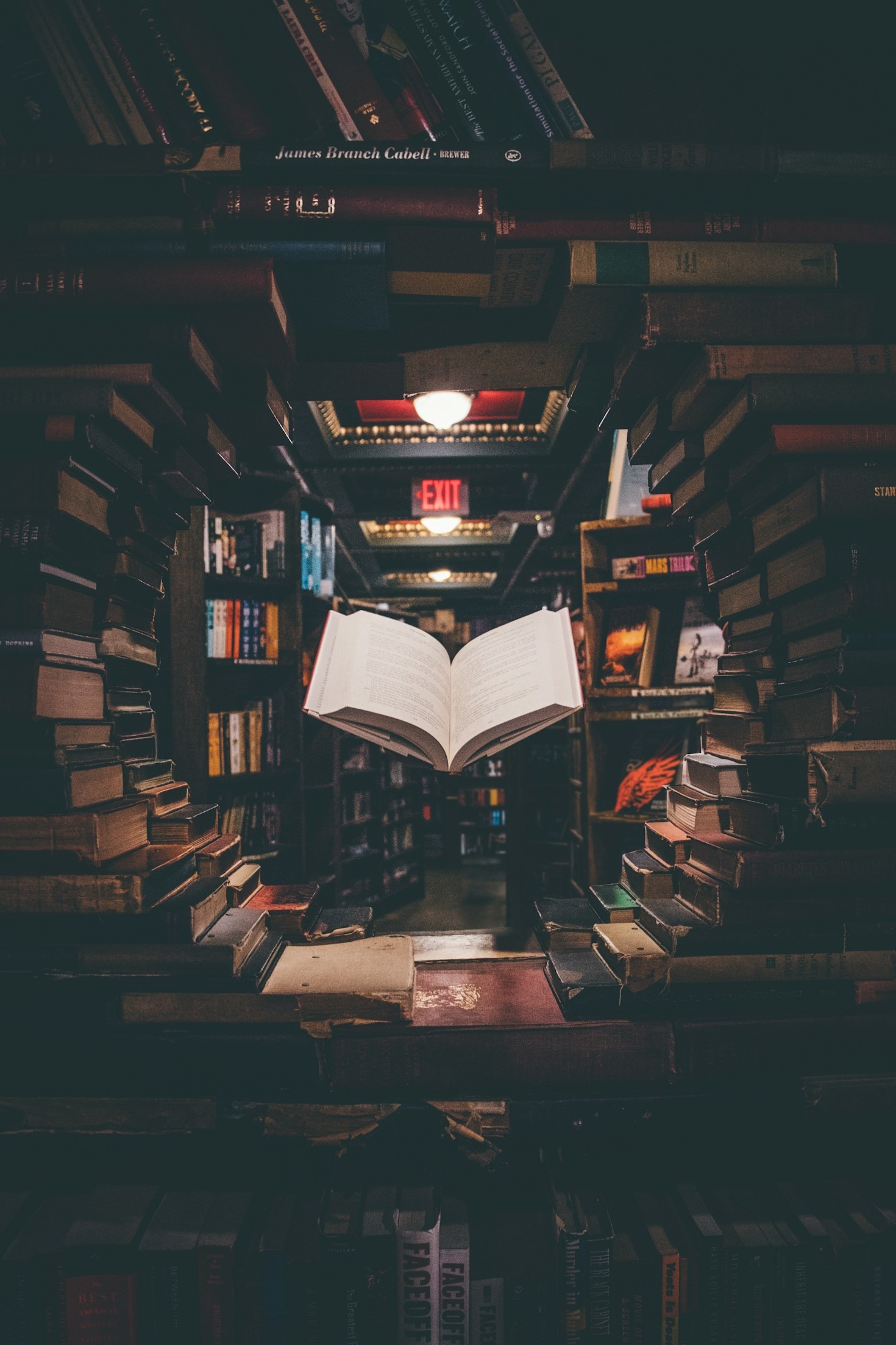 Expert Tips for Staying Motivated While Learning